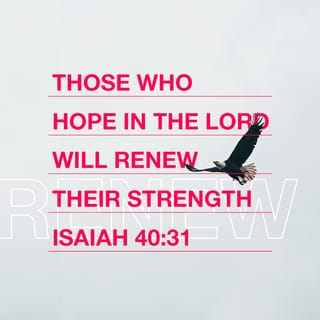 Isaiah 40:30-31 - Even youths will become weak and tired,
and young men will fall in exhaustion.
But those who trust in the LORD will find new strength.
They will soar high on wings like eagles.
They will run and not grow weary.
They will walk and not faint.