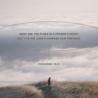 Proverbs 19:21 - People can make all kinds of plans,
but only the LORD’s plan will happen.