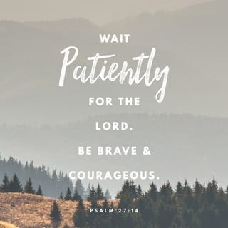 Psalms 27:14 - Wait with hope for the LORD.
Be strong, and let your heart be courageous.
Yes, wait with hope for the LORD.