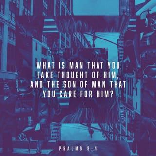 Psalms 8:4 - But why are people even important to you?
Why do you take care of human beings?