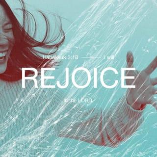 Habakkuk 3:18 - Yet I will rejoice in the LORD,
I will joy in the God of my salvation.