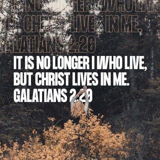 Galatians 2:19-21 - For I through the law died to the law that I might live to God. I have been crucified with Christ; it is no longer I who live, but Christ lives in me; and the life which I now live in the flesh I live by faith in the Son of God, who loved me and gave Himself for me. I do not set aside the grace of God; for if righteousness comes through the law, then Christ died in vain.”