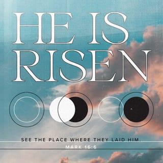 Mark 16:6 - But the man said, “Don’t be afraid. You are looking for Jesus from Nazareth, who has been crucified. He has risen from the dead; he is not here. Look, here is the place they laid him.