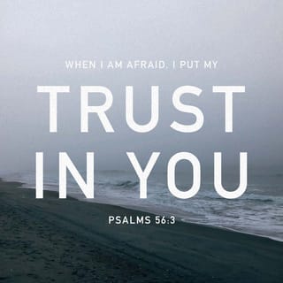 Psalms 56:3 - But in the day that I’m afraid, I lay all my fears before you
and trust in you with all my heart.