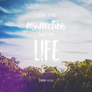 John 11:25 - “Martha,” Jesus said, “You don’t have to wait until then. I am the Resurrection, and I am Life Eternal. Anyone who clings to me in faith, even though he dies, will live forever.