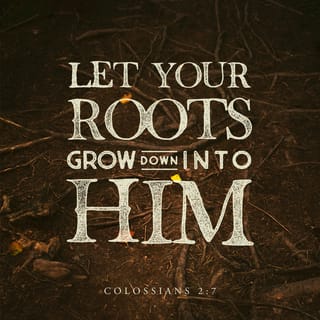 Colossians 2:7 - Keep your roots deep in him and have your lives built on him. Be strong in the faith, just as you were taught, and always be thankful.