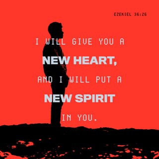 Ezekiel 36:26 - A new heart also will I give you, and a new spirit will I put within you: and I will take away the stony heart out of your flesh, and I will give you a heart of flesh.