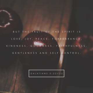 Galatians 5:22-23 - But the fruit of the Spirit is love, joy, peace, patience, kindness, goodness, faithfulness, gentleness, self-control; against such things there is no law.