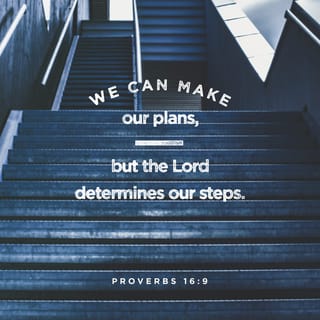 Proverbs 16:9 - Within your heart you can make plans for your future,
but the Lord chooses the steps you take to get there.