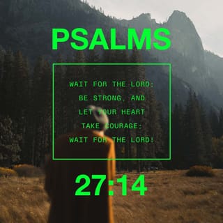 Psalms 27:13-14 - I would have despaired had I not believed that I would see the goodness of the LORD
In the land of the living.
Wait for and confidently expect the LORD;
Be strong and let your heart take courage;
Yes, wait for and confidently expect the LORD.