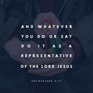 Colossians 3:17 - Everything you do or say should be done to obey Jesus your Lord. And in all you do, give thanks to God the Father through Jesus.