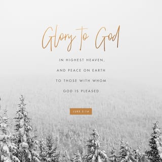 Luke 2:13-14 - Suddenly, the angel was joined by a vast host of others—the armies of heaven—praising God and saying,

“Glory to God in highest heaven,
and peace on earth to those with whom God is pleased.”
