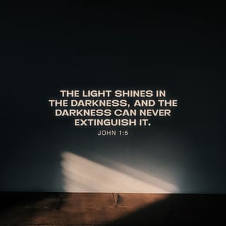 John 1:3-5 - Everything was created through him;
nothing—not one thing!—
came into being without him.
What came into existence was Life,
and the Life was Light to live by.
The Life-Light blazed out of the darkness;
the darkness couldn’t put it out.