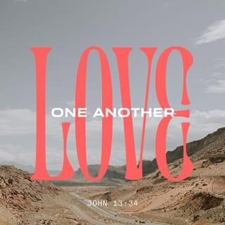 John 13:34 - A new commandment I give unto you, that ye love one another; even as I have loved you, that ye also love one another.