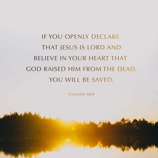 Romans 10:9-18 - that if thou shalt confess with thy mouth the Lord Jesus, and shalt believe in thine heart that God hath raised him from the dead, thou shalt be saved. For with the heart man believeth unto righteousness; and with the mouth confession is made unto salvation. For the scripture saith, Whosoever believeth on him shall not be ashamed. For there is no difference between the Jew and the Greek: for the same Lord over all is rich unto all that call upon him. For whosoever shall call upon the name of the Lord shall be saved. How then shall they call on him in whom they have not believed? and how shall they believe in him of whom they have not heard? and how shall they hear without a preacher? And how shall they preach, except they be sent? as it is written, How beautiful are the feet of them that preach the gospel of peace, and bring glad tidings of good things!
But they have not all obeyed the gospel. For Esaias saith, Lord, who hath believed our report? So then faith cometh by hearing, and hearing by the word of God. But I say, Have they not heard? Yes verily,
Their sound went into all the earth,
And their words unto the ends of the world.