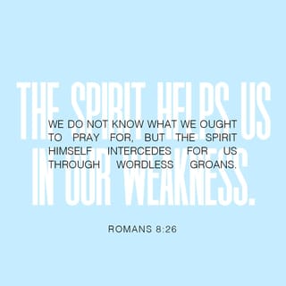 Romans 8:26-28 - In the same way the Spirit also helps our weakness; for we do not know how to pray as we should, but the Spirit Himself intercedes for us with groanings too deep for words; and He who searches the hearts knows what the mind of the Spirit is, because He intercedes for the saints according to the will of God.
And we know that God causes all things to work together for good to those who love God, to those who are called according to His purpose.