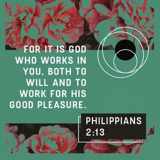 Philippians 2:12-15 - So then, my beloved, just as you have always obeyed, not as in my presence only, but now much more in my absence, work out your salvation with fear and trembling; for it is God who is at work in you, both to will and to work for His good pleasure.
Do all things without grumbling or disputing; so that you will prove yourselves to be blameless and innocent, children of God above reproach in the midst of a crooked and perverse generation, among whom you appear as lights in the world