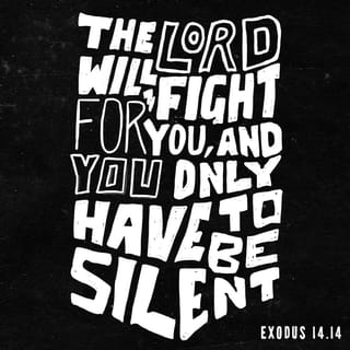 Exodus 14:13-14 - And Moses said unto the people, Fear ye not, stand still, and see the salvation of Jehovah, which he will work for you to-day: for the Egyptians whom ye have seen to-day, ye shall see them again no more for ever. Jehovah will fight for you, and ye shall hold your peace.