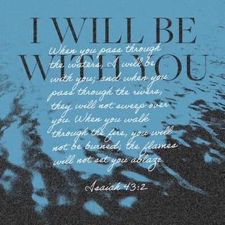 Isaiah 43:2-3 - When you go through deep waters,
I will be with you.
When you go through rivers of difficulty,
you will not drown.
When you walk through the fire of oppression,
you will not be burned up;
the flames will not consume you.
For I am the LORD, your God,
the Holy One of Israel, your Savior.
I gave Egypt as a ransom for your freedom;
I gave Ethiopia and Seba in your place.