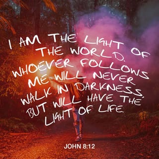 John 8:12-20 - Then spake Jesus again unto them, saying, I am the light of the world: he that followeth me shall not walk in darkness, but shall have the light of life. The Pharisees therefore said unto him, Thou bearest record of thyself; thy record is not true. Jesus answered and said unto them, Though I bear record of myself, yet my record is true: for I know whence I came, and whither I go; but ye cannot tell whence I come, and whither I go. Ye judge after the flesh; I judge no man. And yet if I judge, my judgment is true: for I am not alone, but I and the Father that sent me. It is also written in your law, that the testimony of two men is true. I am one that bear witness of myself, and the Father that sent me beareth witness of me. Then said they unto him, Where is thy Father? Jesus answered, Ye neither know me, nor my Father: if ye had known me, ye should have known my Father also.
These words spake Jesus in the treasury, as he taught in the temple: and no man laid hands on him; for his hour was not yet come.