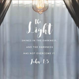 John 1:5 - The Light shines in the darkness, and the darkness did not comprehend it.