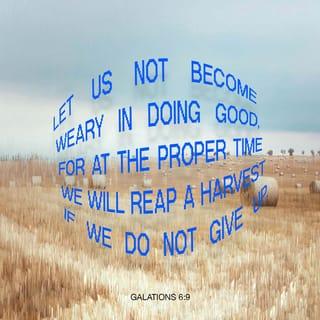 Galatians 6:9-10 - Let us not lose heart in doing good, for in due time we will reap if we do not grow weary. So then, while we have opportunity, let us do good to all people, and especially to those who are of the household of the faith.