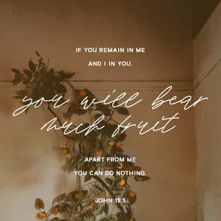 John 15:4-8 - Remain in me, and I will remain in you. For a branch cannot produce fruit if it is severed from the vine, and you cannot be fruitful unless you remain in me.
“Yes, I am the vine; you are the branches. Those who remain in me, and I in them, will produce much fruit. For apart from me you can do nothing. Anyone who does not remain in me is thrown away like a useless branch and withers. Such branches are gathered into a pile to be burned. But if you remain in me and my words remain in you, you may ask for anything you want, and it will be granted! When you produce much fruit, you are my true disciples. This brings great glory to my Father.