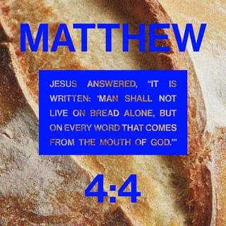 Matthew 4:4 - Jesus answered by quoting Deuteronomy: “It takes more than bread to stay alive. It takes a steady stream of words from God’s mouth.”