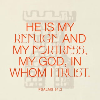 Psalms 91:2 - I will say to the LORD, “My refuge and my fortress,
My God, in whom I trust!”