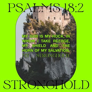 Psalms 18:2 - The LORD is my rock, my fortress, and the One who rescues me;
My God, my rock and strength in whom I trust and take refuge;
My shield, and the horn of my salvation, my high tower—my stronghold. [Heb 2:13]