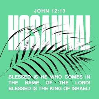John 12:13 - took branches of palm trees, and went forth to meet him, and cried, Hosanna: Blessed is the King of Israel that cometh in the name of the Lord.