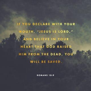 Romans 10:9 - because if thou shalt confess with thy mouth Jesus as Lord, and shalt believe in thy heart that God raised him from the dead, thou shalt be saved
