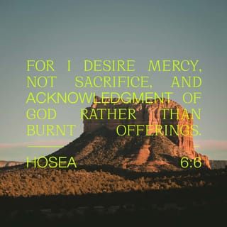 Hosea 6:6 - For I delight in loyalty rather than sacrifice,
And in the knowledge of God rather than burnt offerings.