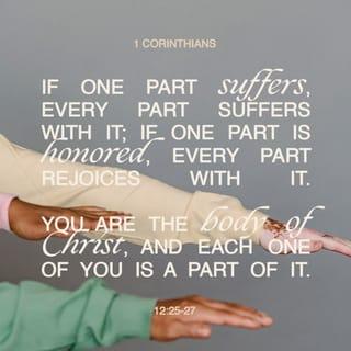 1 Corinthians 12:26 - If one part suffers, every part suffers with it; if one part is honored, every part rejoices with it.