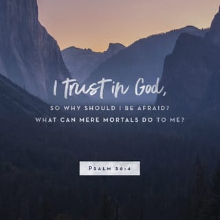 Psalms 56:3-4 - When I am afraid,
I will put my trust and faith in You.
In God, whose word I praise;
In God I have put my trust;
I shall not fear.
What can mere man do to me?