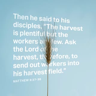 Matthew 9:37-38 - He said to his disciples, “The harvest is great, but the workers are few. So pray to the Lord who is in charge of the harvest; ask him to send more workers into his fields.”