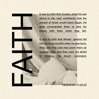 Hebrews 11:23-29 - It was by faith that Moses’ parents hid him for three months when he was born. They saw that God had given them an unusual child, and they were not afraid to disobey the king’s command.
It was by faith that Moses, when he grew up, refused to be called the son of Pharaoh’s daughter. He chose to share the oppression of God’s people instead of enjoying the fleeting pleasures of sin. He thought it was better to suffer for the sake of Christ than to own the treasures of Egypt, for he was looking ahead to his great reward. It was by faith that Moses left the land of Egypt, not fearing the king’s anger. He kept right on going because he kept his eyes on the one who is invisible. It was by faith that Moses commanded the people of Israel to keep the Passover and to sprinkle blood on the doorposts so that the angel of death would not kill their firstborn sons.
It was by faith that the people of Israel went right through the Red Sea as though they were on dry ground. But when the Egyptians tried to follow, they were all drowned.