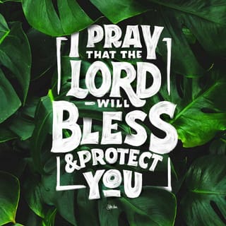 Numbers 6:24 - ¶The LORD bless you, and keep you [protect you, sustain you, and guard you]