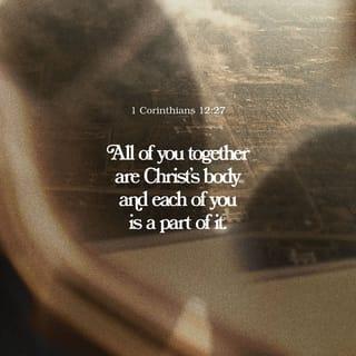 1 Corinthians 12:27 - Together you are the body of Christ, and each one of you is a part of that body.