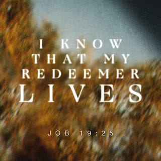 Job 19:25-27 - As for me, I know that my Redeemer lives,
And at the last He will take His stand on the earth.
Even after my skin is destroyed,
Yet from my flesh I shall see God;
Whom I myself shall behold,
And whom my eyes will see and not another.
My heart faints within me!