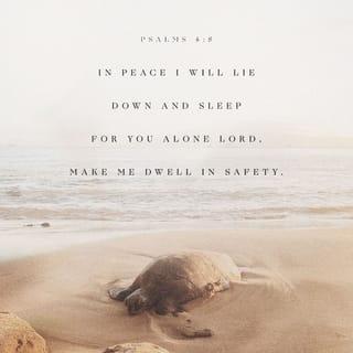 Psalms 4:8 - I go to bed and sleep in peace,
because, LORD, only you keep me safe.