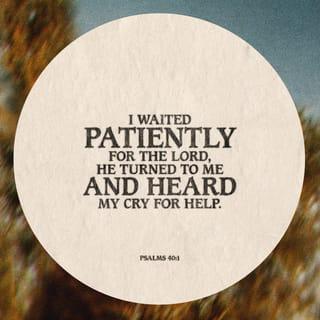 Psalms 40:1-2 - I waited patiently for the LORD to help me,
and he turned to me and heard my cry.
He lifted me out of the pit of despair,
out of the mud and the mire.
He set my feet on solid ground
and steadied me as I walked along.