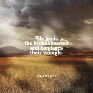 Psalms 147:3 - He heals the brokenhearted
And binds up their wounds [healing their pain and comforting their sorrow]. [Ps 34:18; Is 57:15; 61:1; Luke 4:18]