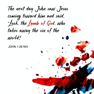John 1:29 - The next day he *saw Jesus coming to him and *said, “Behold, the Lamb of God who takes away the sin of the world!