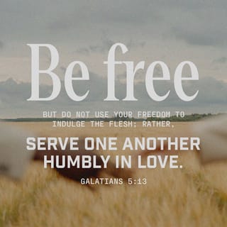 Galatians 5:13 - For you have been called to live in freedom, my brothers and sisters. But don’t use your freedom to satisfy your sinful nature. Instead, use your freedom to serve one another in love.