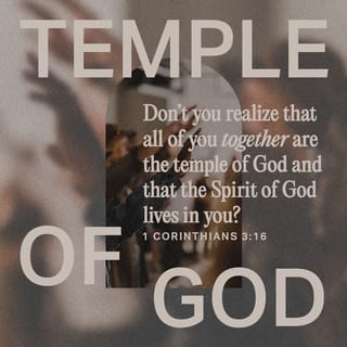 1 Corinthians 3:16-17 - You realize, don’t you, that you are the temple of God, and God himself is present in you? No one will get by with vandalizing God’s temple, you can be sure of that. God’s temple is sacred—and you, remember, are the temple.