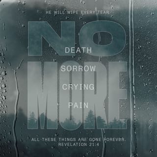 Revelation 21:4 - He will wipe away every tear from their eyes
and eliminate death entirely.
No one will mourn or weep any longer.
The pain of wounds will no longer exist,
for the old order has ceased.”