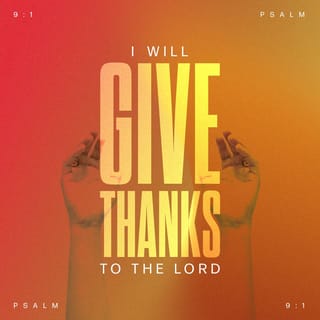 Psalms 9:1 - I will give thanks to the LORD with all my heart;
I will tell of all Your wonders.