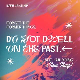 Isaiah 43:18-25 - “Remember not the former things,
nor consider the things of old.
Behold, I am doing a new thing;
now it springs forth, do you not perceive it?
I will make a way in the wilderness
and rivers in the desert.
The wild beasts will honor me,
the jackals and the ostriches,
for I give water in the wilderness,
rivers in the desert,
to give drink to my chosen people,
the people whom I formed for myself
that they might declare my praise.

“Yet you did not call upon me, O Jacob;
but you have been weary of me, O Israel!
You have not brought me your sheep for burnt offerings,
or honored me with your sacrifices.
I have not burdened you with offerings,
or wearied you with frankincense.
You have not bought me sweet cane with money,
or satisfied me with the fat of your sacrifices.
But you have burdened me with your sins;
you have wearied me with your iniquities.

“I, I am he
who blots out your transgressions for my own sake,
and I will not remember your sins.