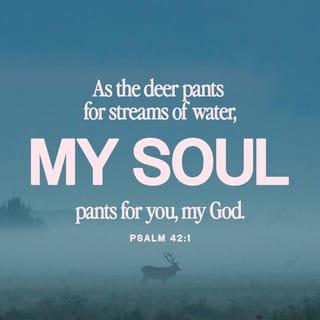 Psalms 42:1-3 - As the deer longs for streams of water,
so I long for you, O God.
I thirst for God, the living God.
When can I go and stand before him?
Day and night I have only tears for food,
while my enemies continually taunt me, saying,
“Where is this God of yours?”